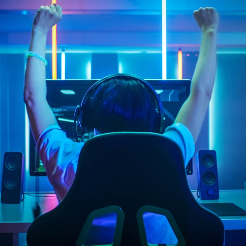 Headset W/ Microphone