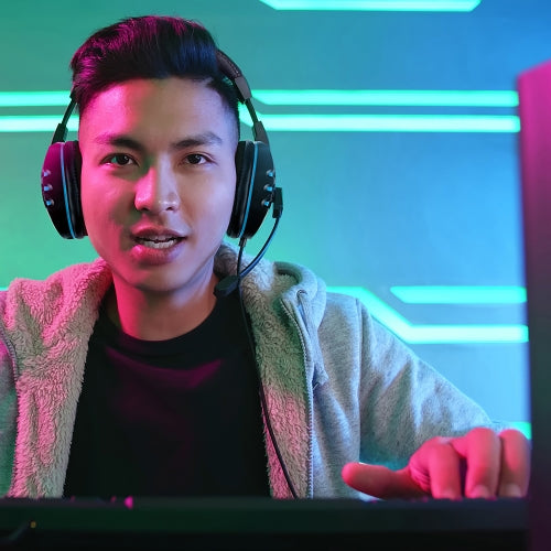 Headset W/ Microphone